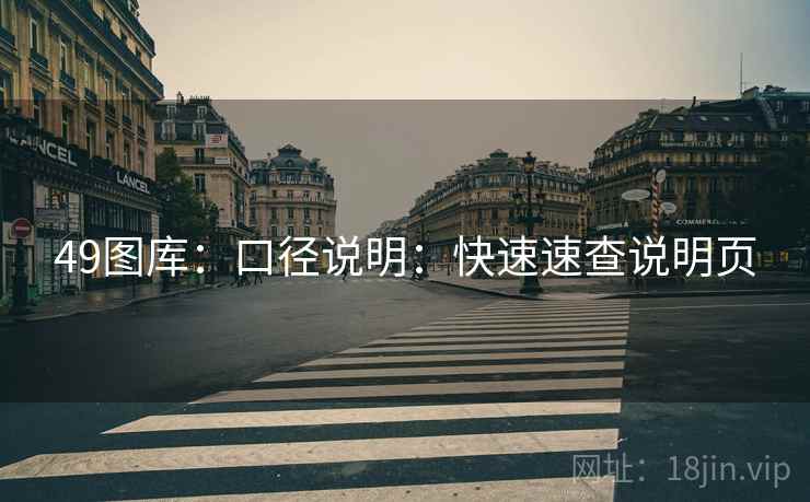 49图库：口径说明：快速速查说明页